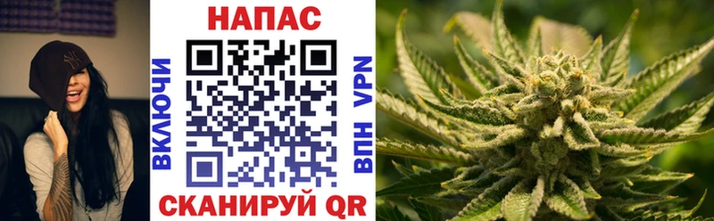 Купить где  Отрадная  Конопля MAZAR 